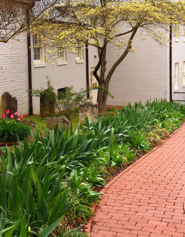 Brick Pathway Repair in Woodland Park, CO