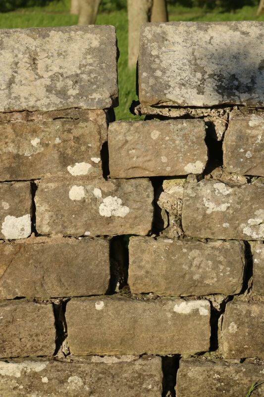 Stone Wall Repair in Teller County, CO